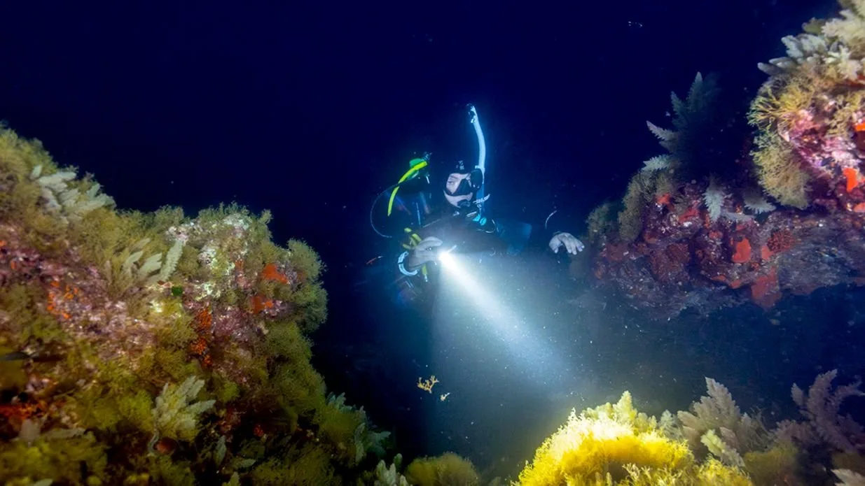 PADI Advanced Open Water Diver Course PADI Advanced Open Water Diver Course Image 2