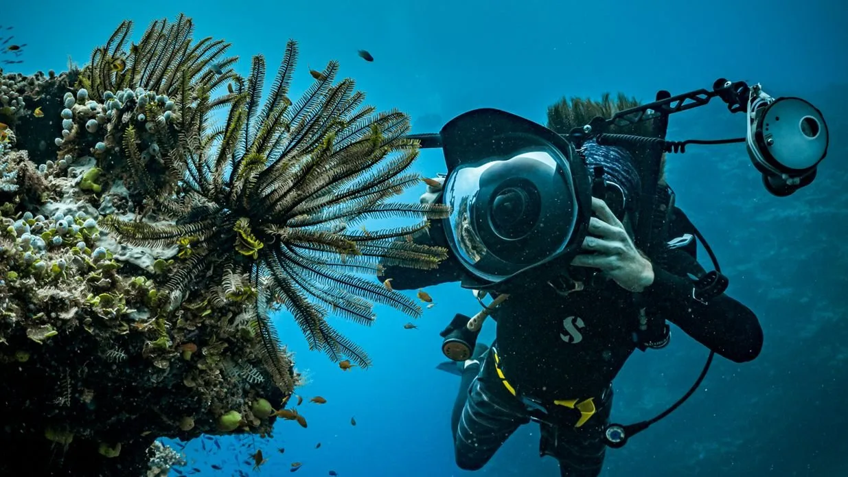 PADI Advanced Open Water Diver Course Underwater photographer documenting marine life in the Red Sea near Jeddah