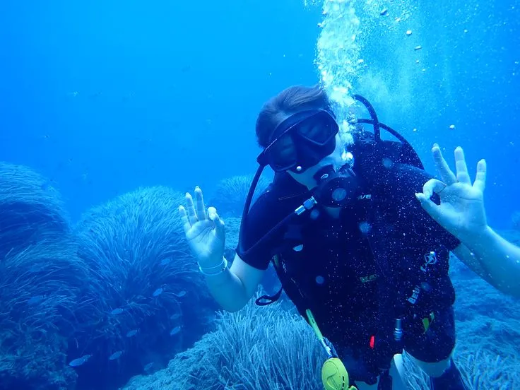 Scuba Diving in Jeddah: Explore the Red Sea Like Never Before Scuba Diving in Jeddah