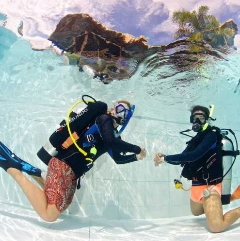 دورة PADI غواص المياه المفتوحة في جدة خطوات الحصول على شهادة PADI Open Water Diver
