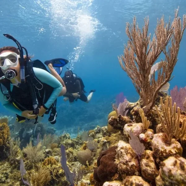 Open Water Diver Course