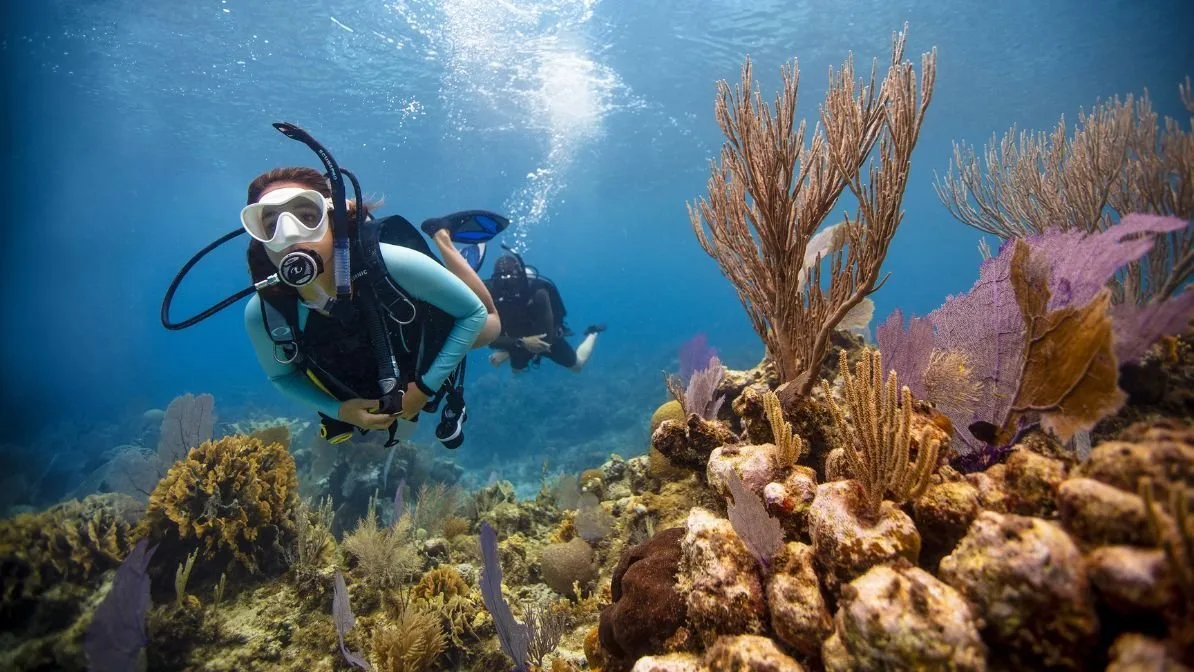PADI Open Water Diver Course Open Water Diver Course