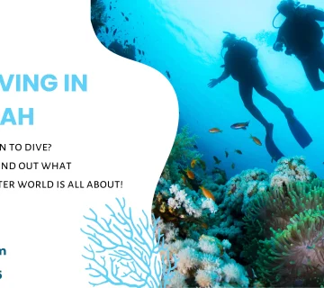 Scuba Diving in Jeddah