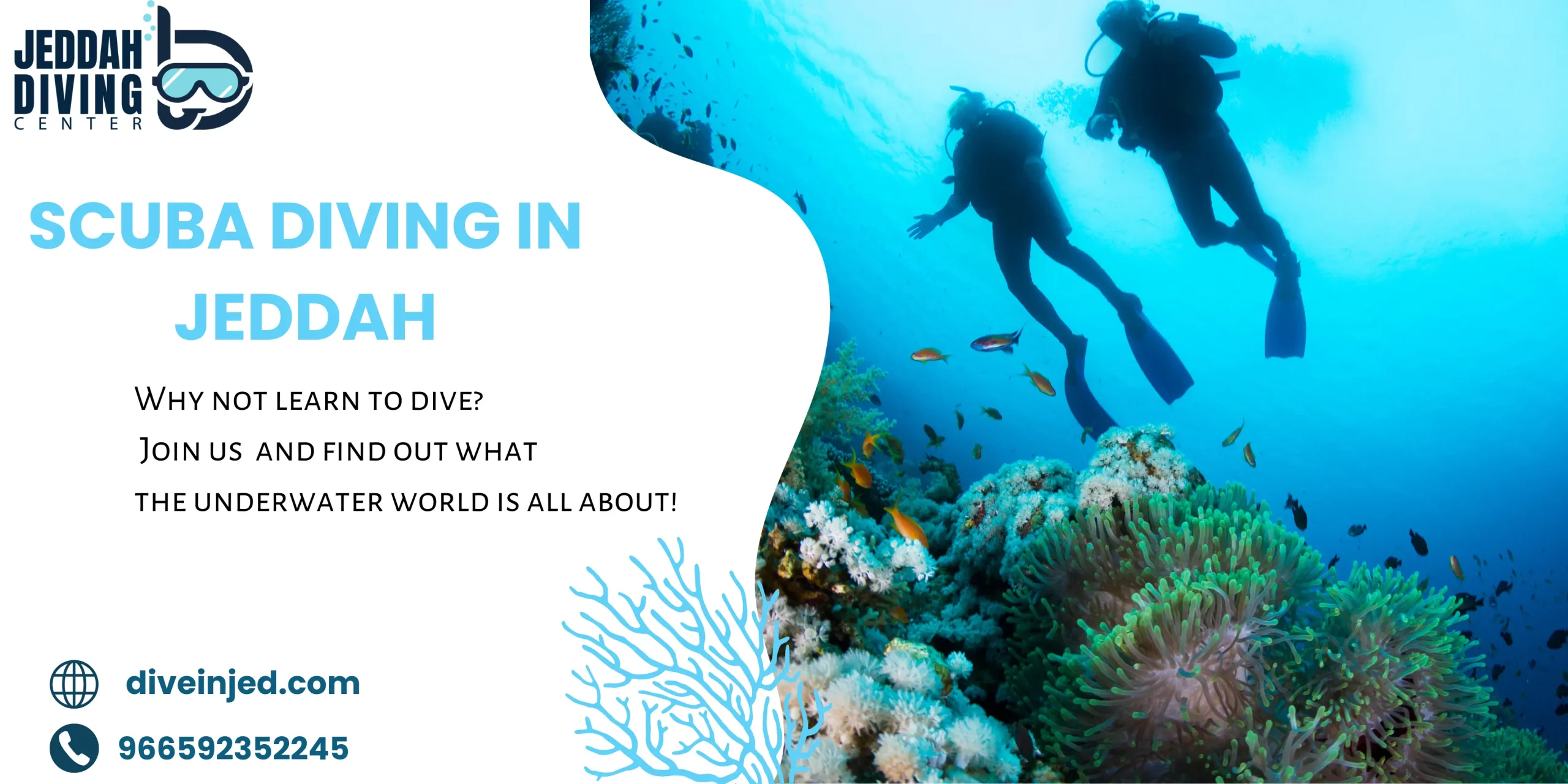 Scuba Diving in Jeddah: Explore the Red Sea Like Never Before Scuba Diving in Jeddah