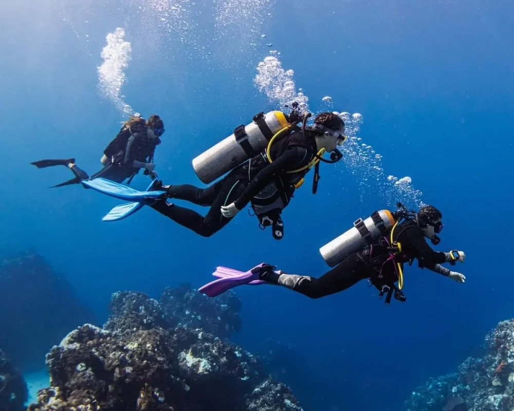Diving Courses in Jeddah: Your Gateway to the Deep Blue diving courses in Jeddah