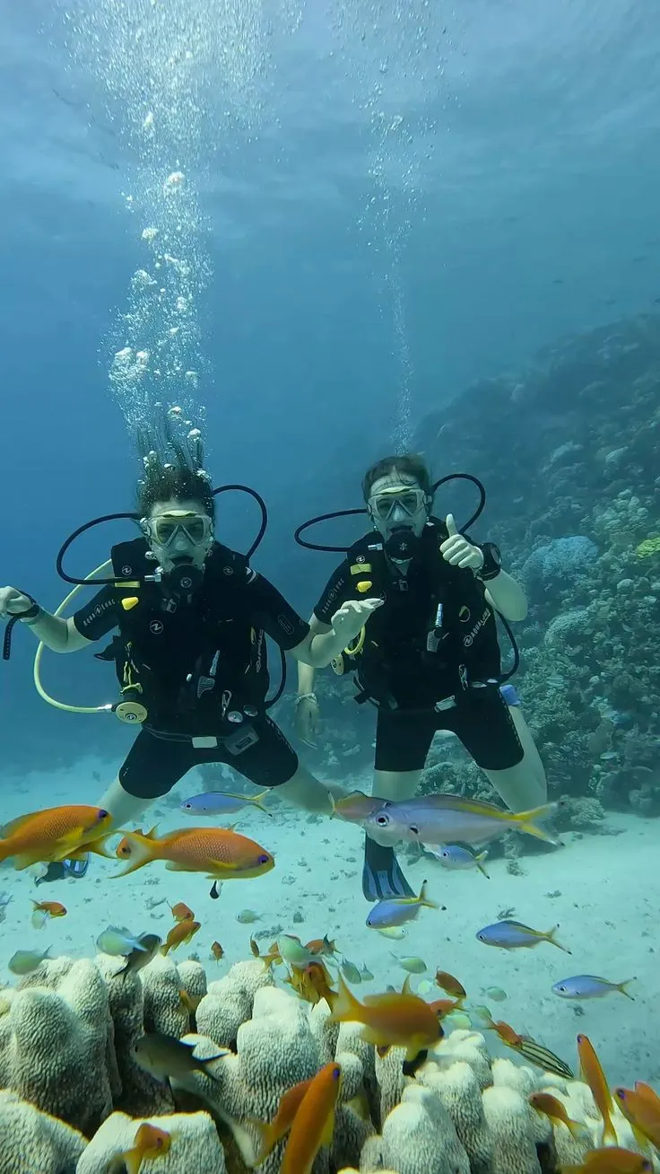 Discover Scuba Diving Boat Trip Experience Scuba Diving Boat Trip