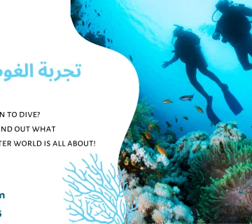 تجربة الغوص في جدة