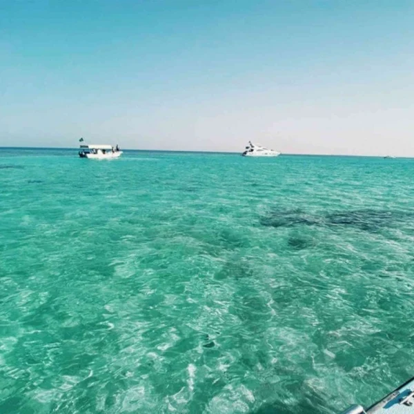 Bayada island trip