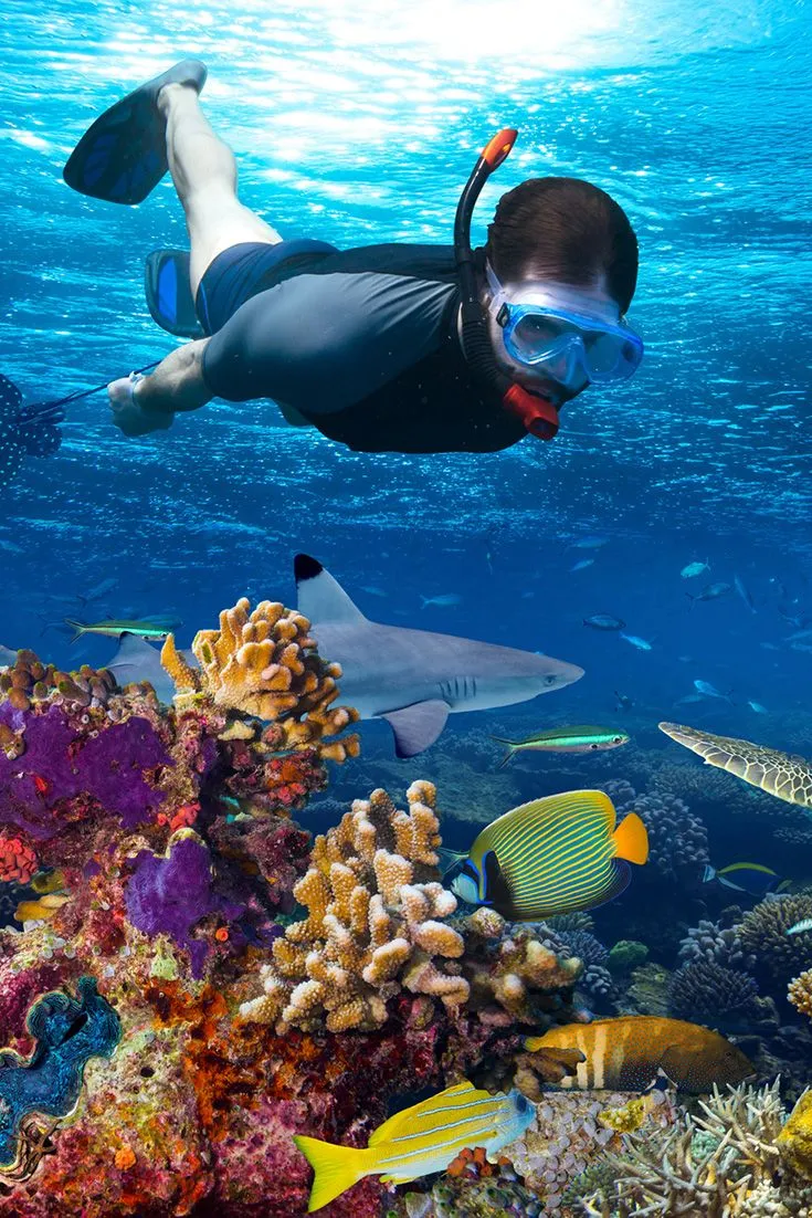 Daily Boat Snorkeling Trip Boat Snorkeling Trip Jeddah