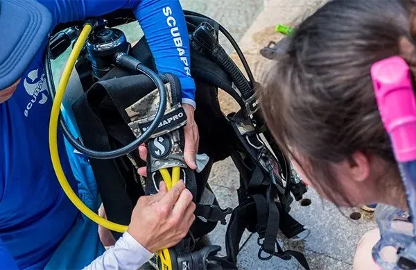PADI Assistant Instructor Course
