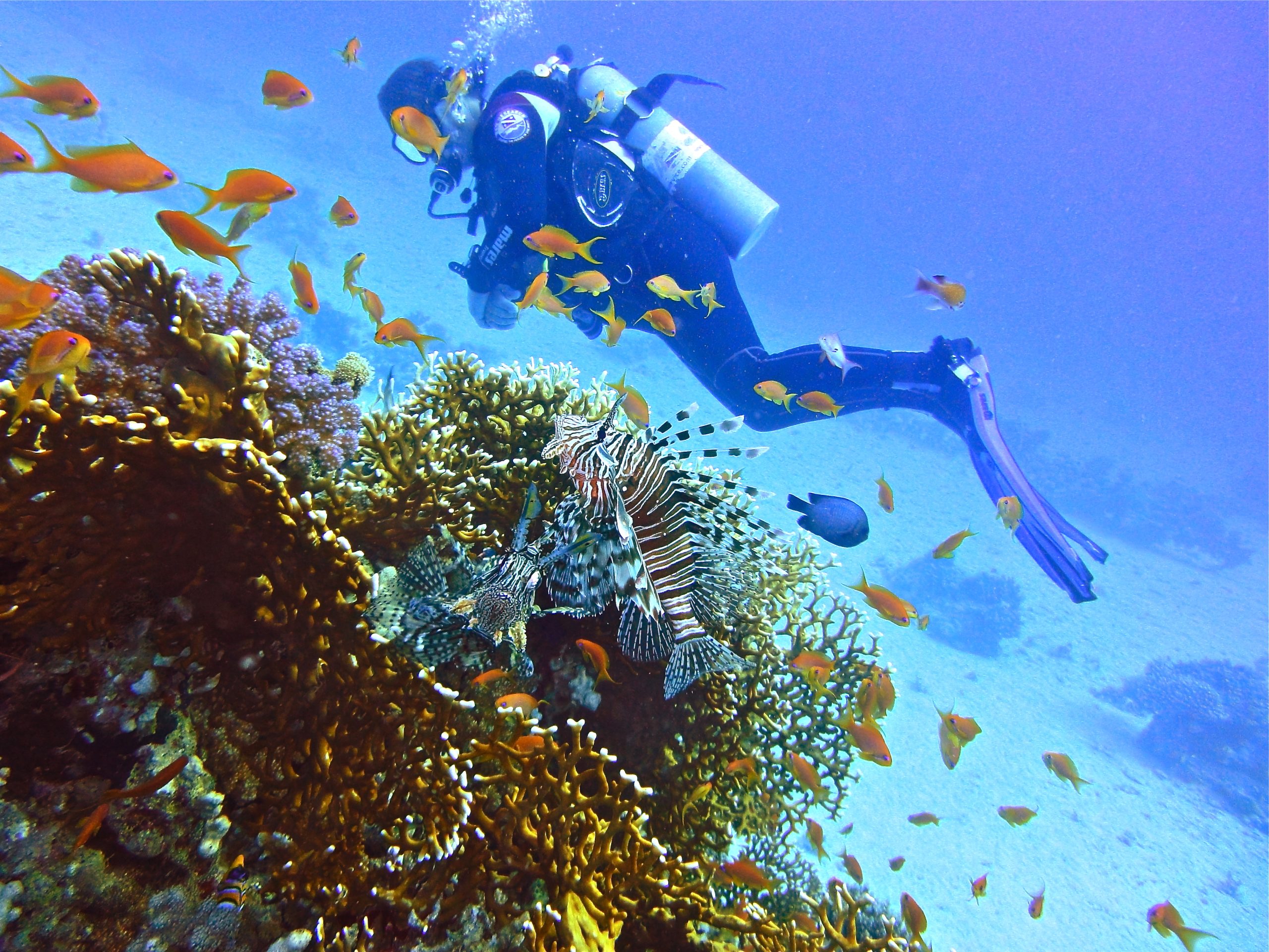 Home Jeddah Diving Center