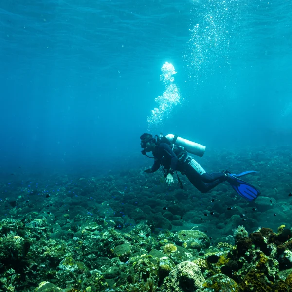 Enriched Air Diver Nitrox