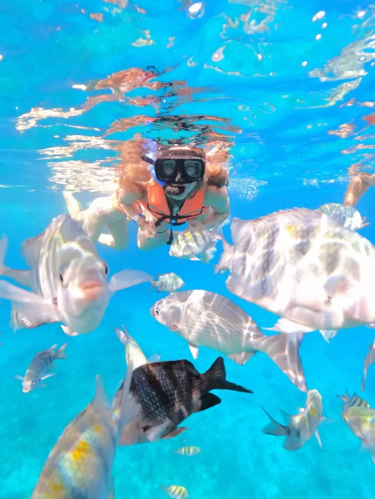 Daily Shore Snorkeling Trip Daily Shore Snorkeling Trip