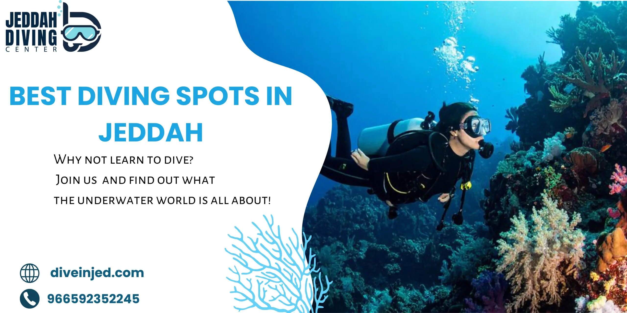 Best Diving Spots in Jeddah: Discover the Hidden Gems of the Red Sea Best diving spots in Jeddah
