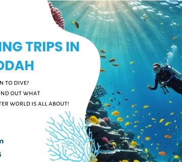 Boat Diving Trips in Jeddah
