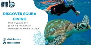 Discover Scuba Diving