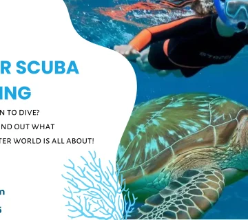 Discover Scuba Diving