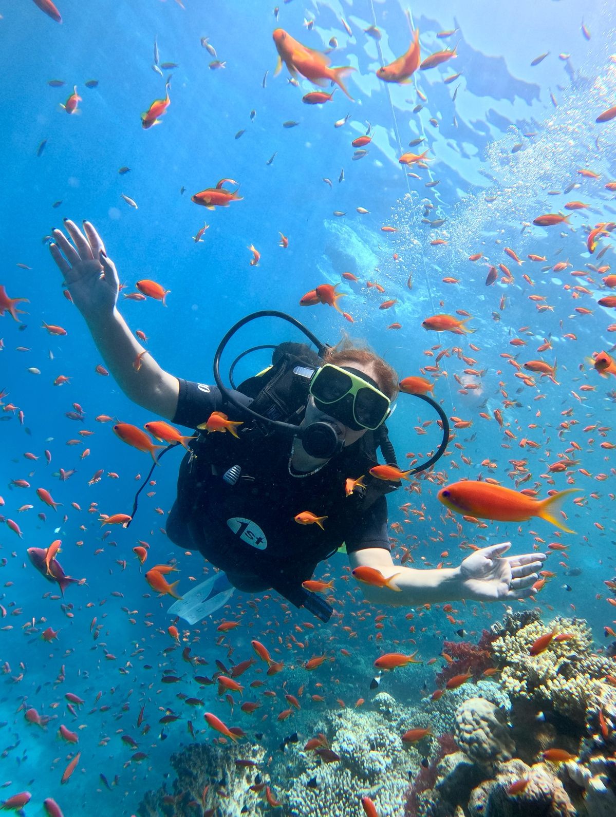 Best Diving Spots in Jeddah: Discover the Hidden Gems of the Red Sea Diving Spots in Jeddah