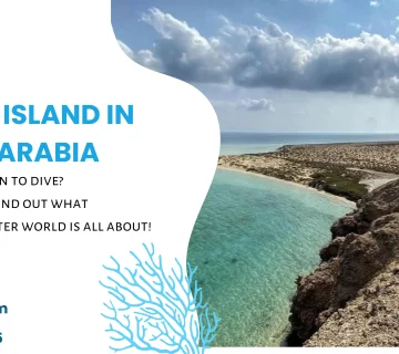 Marmar Island in Saudi Arabia