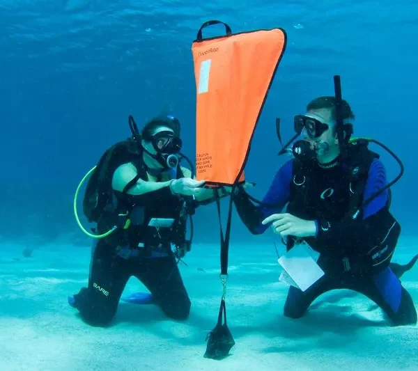 PADI البحث والاسترجاع