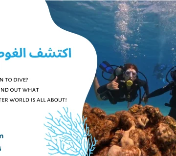 اكتشف الغوص في جدة