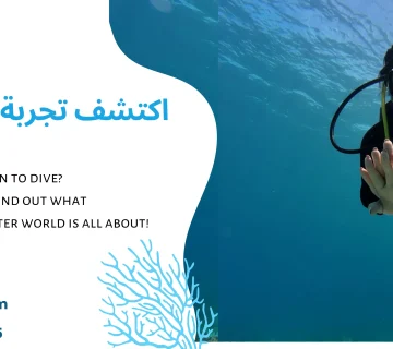 اكتشف تجربة الغوص جدة