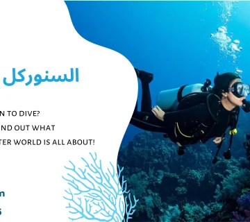 السنوركل في جدة