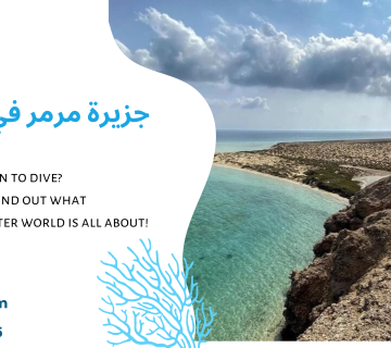 جزيرة مرمر في السعودية
