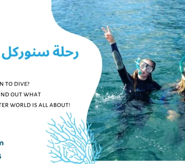 رحلة سنوركل من الشاطئ