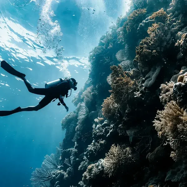 Scuba Shore Trip for Certified Divers