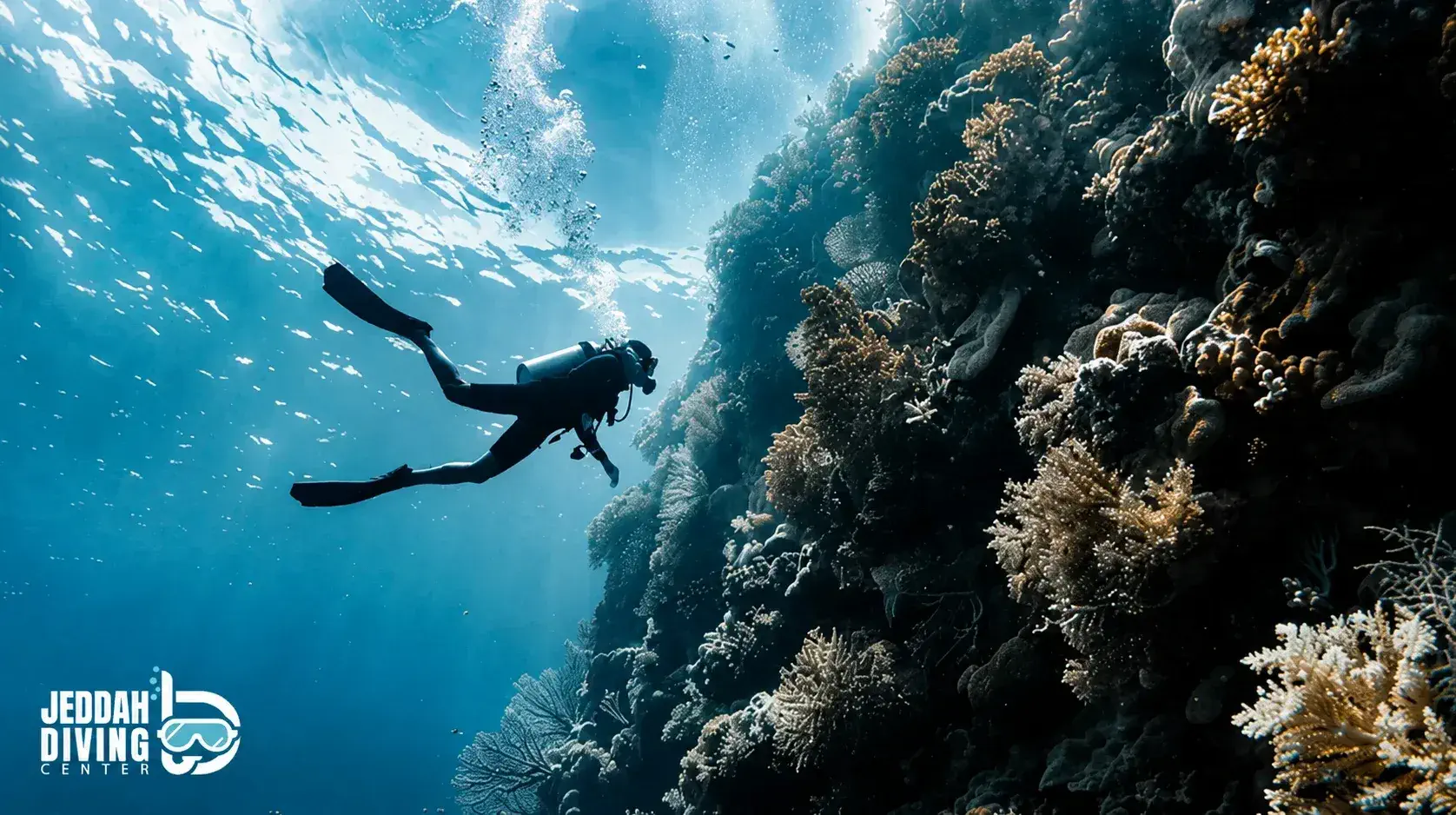 Scuba Shore Trip for Certified Divers, Reef Wall Diving at Abhur Scuba Shore Trip for Certified Divers