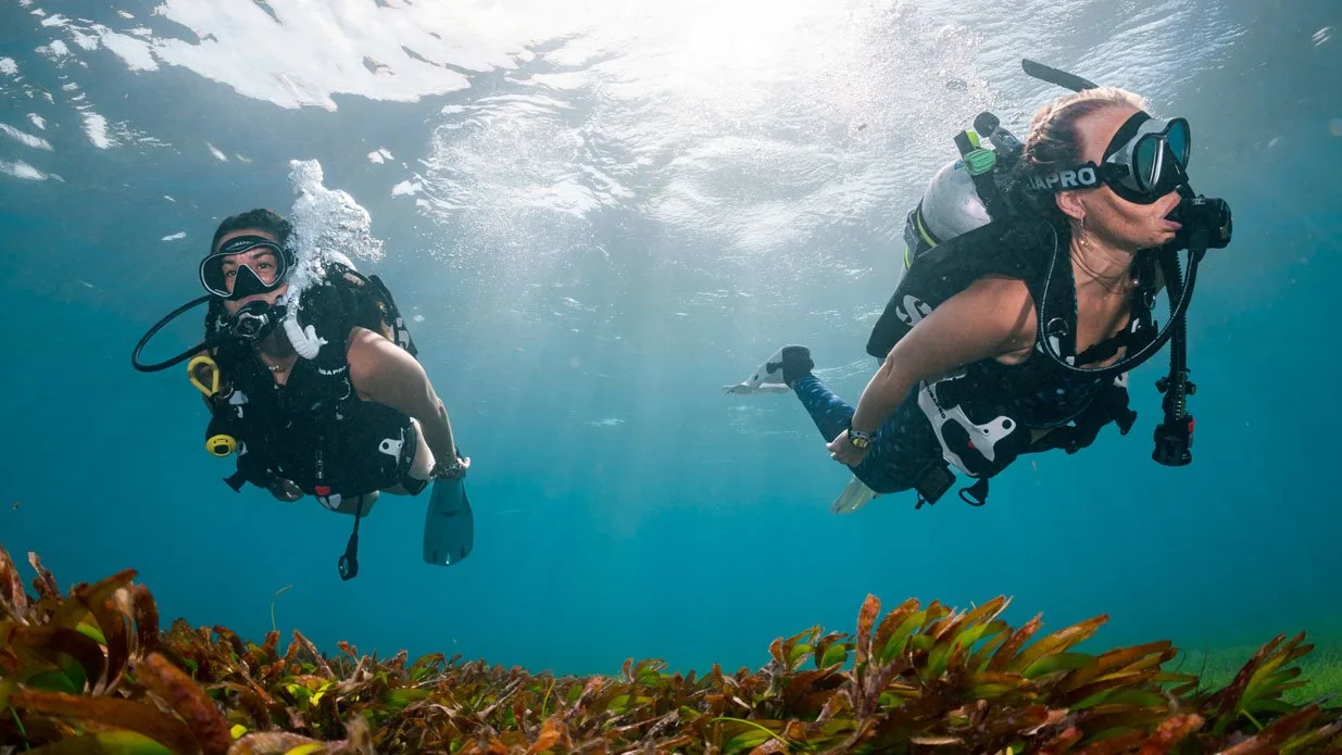PADI Drift Diver Specialty Course in Jeddah PADI Drift Diver Specialty Course in Jeddah Image 2