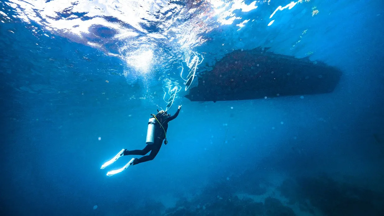 PADI Boat Diver Specialty Course - Jeddah PADI Boat Diver course