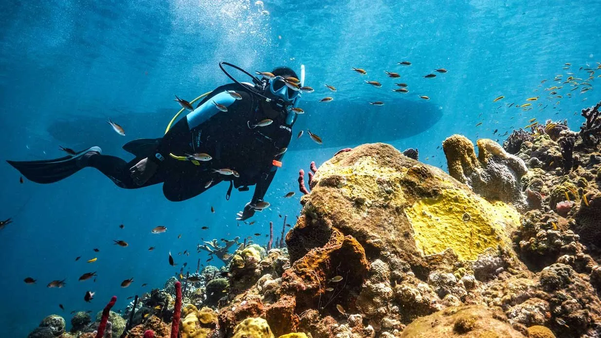 PADI Boat Diver Specialty Course - Jeddah PADI Boat Diver