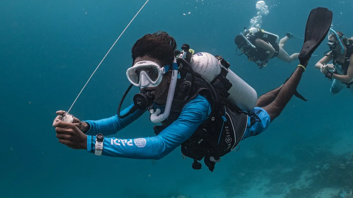 PADI Drift Diver Specialty Course in Jeddah PADI Drift Diver Course in Jeddah