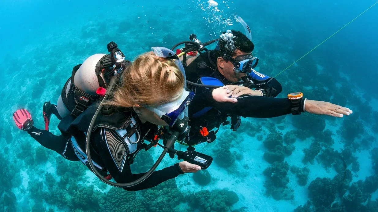 PADI Underwater Navigator Specialty Course Jeddah Underwater navigation course