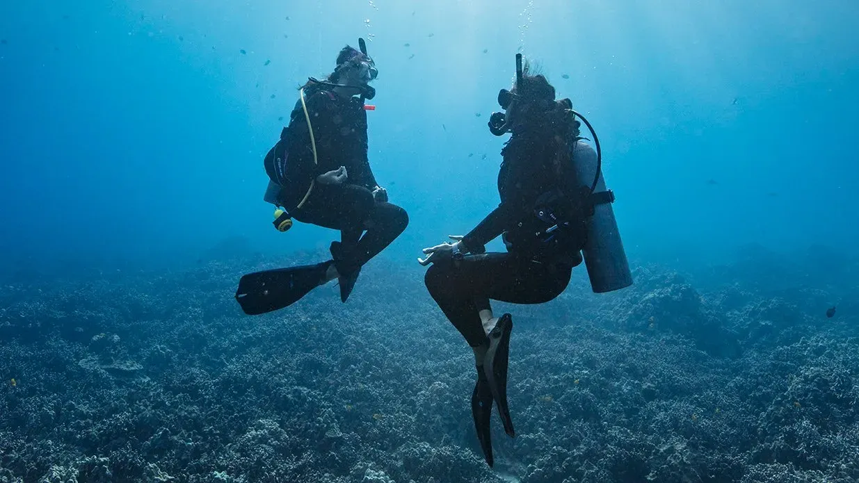 دورة أداء الطفو المثالي من PADI (Peak Performance Buoyancy) – جدة التدريب على الطفو المتعادل (Neutral Buoyancy) ضمن دورة أداء الطفو المثالي من PADI