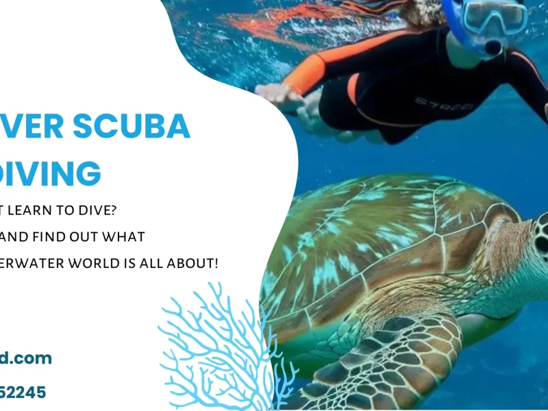 Discover Scuba Diving