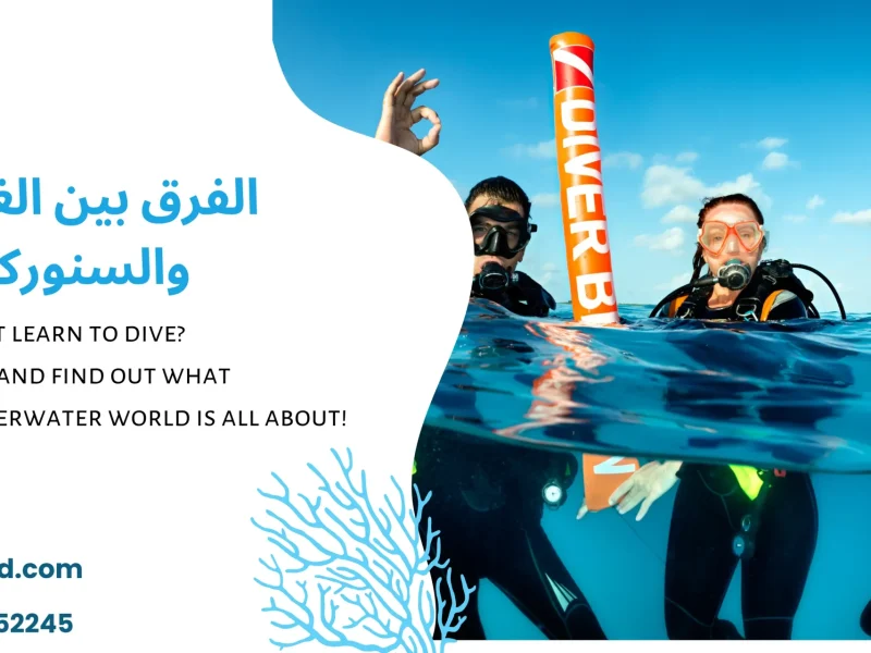 الفرق بين الغوص والسنوركل