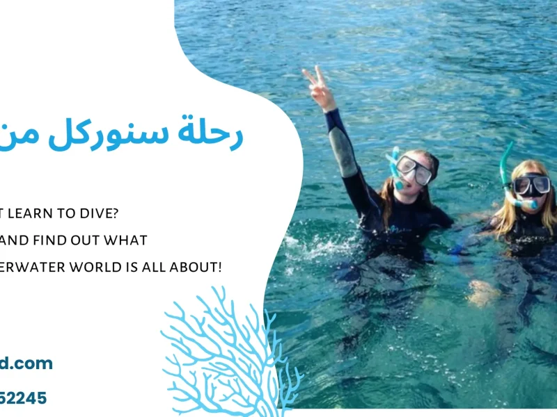 رحلة سنوركل من الشاطئ